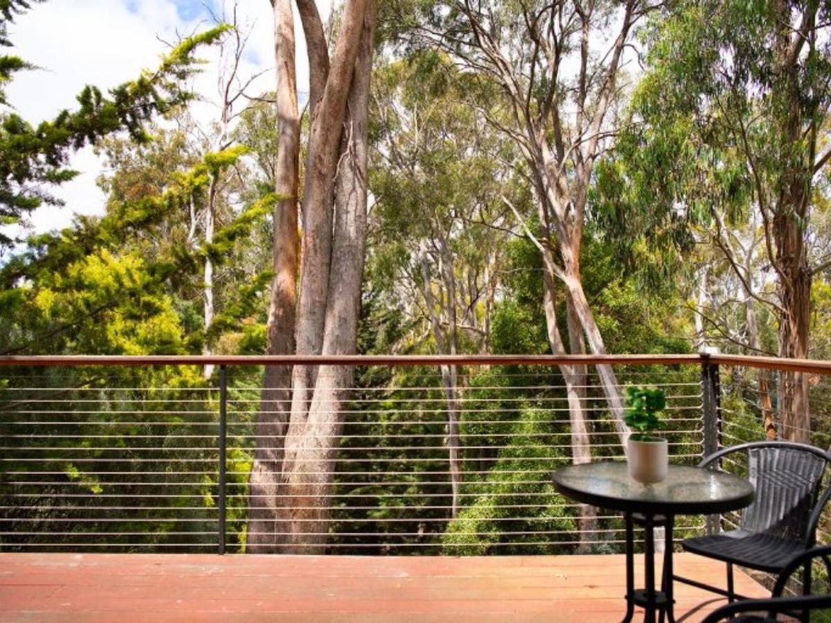 Serena Daylesford Extérieur photo